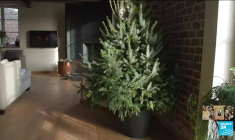 Un humanitaire belge condamné à 28 ans de prison en Iran