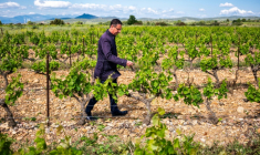 Gilles Foxonet, vigneron et maire RN de Baixas, dans son vignoble à Baixas, le 7 mai 2025 dans les Pyrénées-Orientales ( AFP / Jean-Christophe MILHET )