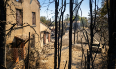Des maisons brûlées à Ille-sur-Têt par un incendie de forêt dans les Pyrénées-Orientales, le 6 juillet 2026 ( AFP / Jean-Christophe MILHET )
