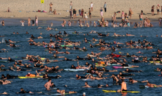 Hommage de nageurs et surfeurs aux victimes de l'attaque de Sydney à la plage de Bondi le 19 décembre 2025 ( AFP / DAVID GRAY )