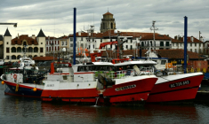 Des bateaux de pêche à Saint-Jean-de-Luz (Pyrénées-Atlantiques), le 22 janvier 2024 ( AFP / GAIZKA IROZ )