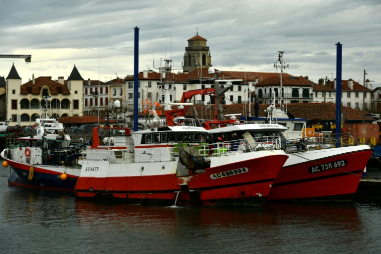 Des bateaux de pêche à Saint-Jean-de-Luz (Pyrénées-Atlantiques), le 22 janvier 2024 ( AFP / GAIZKA IROZ )