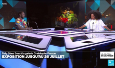 Fally Sène Sow : l'artiste qui redonne vie à la nature morte