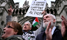Des manifestants devant la Haute Cour de Londres saluent sa décision concernant Palestine Action le 13 février 2026 à Londres ( AFP / Ben STANSALL )