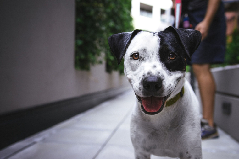 (Crédits photo : Unsplash - Justin Veenema )