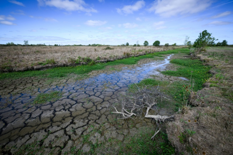 Le lit d'un cours d'eau presque à sec à Machecoul, en Loire-Atlantique, le 3 septembre 2026 ( AFP / Loic VENANCE )