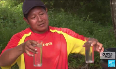 Guadeloupe : les groupes économiques ciblés par des gangs locaux lors des émeutes ?