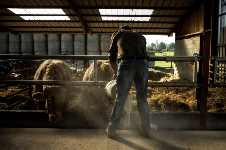 ( AFP / JEFF PACHOUD )