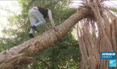 Le lac Malawi, un petit lieu de paradis pour les pêcheurs et les touristes