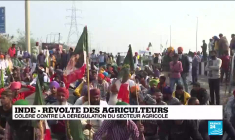 Révolte des agriculteurs en Inde : colère contre la dérégulation du secteur agricole