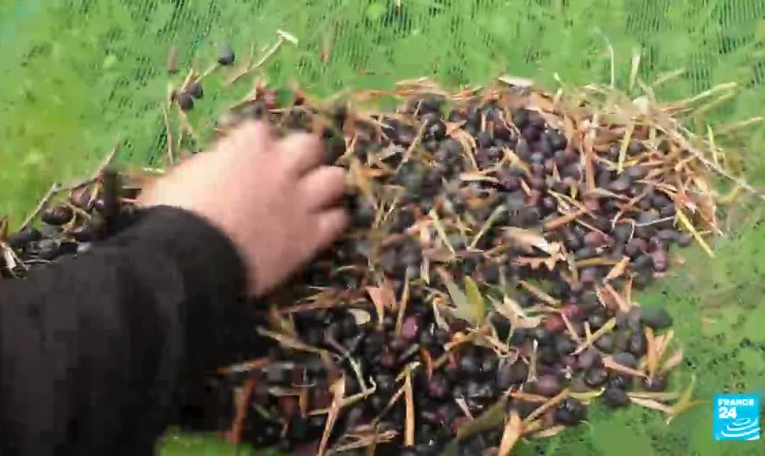 Villages d'exception, un trésor à sauvegarder