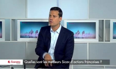 Quelles sont les meilleurs Sicav d'actions françaises ?