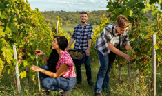 Un grand choix de petits jobs s’offre à votre ado en fonction de ses qualités, ses envies et du lieu. ( crédit photo : Shutterstock )