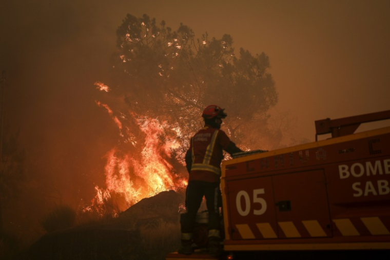 Un incendie de forêt près du village de Benvende, à Trancoso, au Portugal, le 14 août 2025 ( AFP / PATRICIA DE MELO MOREIRA )