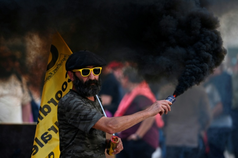 Pour les vignerons, c'est la manifestation de la "dernière chance" ( AFP / Sylvain THOMAS )