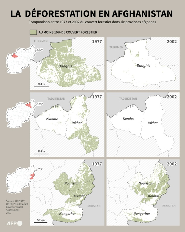 Cartes montrant la déforestation dans six provinces afghanes entre 1977 et 2002. La situation en 2002 sert de base aux programmes de reforestation menés par les talibans. ( AFP / Nicholas SHEARMAN )