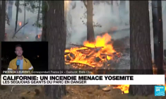 Etats-Unis : un incendie hors de contrôle menace les séquoias géants du parc de Yosemite