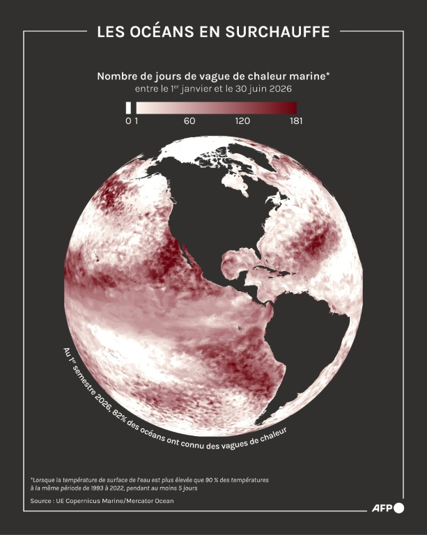 Globe terrestre représentant le nombre de jours de vagues de chaleur marine entre le 1er janvier et le 30 juin 2026, selon les données du service européen Copernicus Marine ( AFP / Sylvie HUSSON )