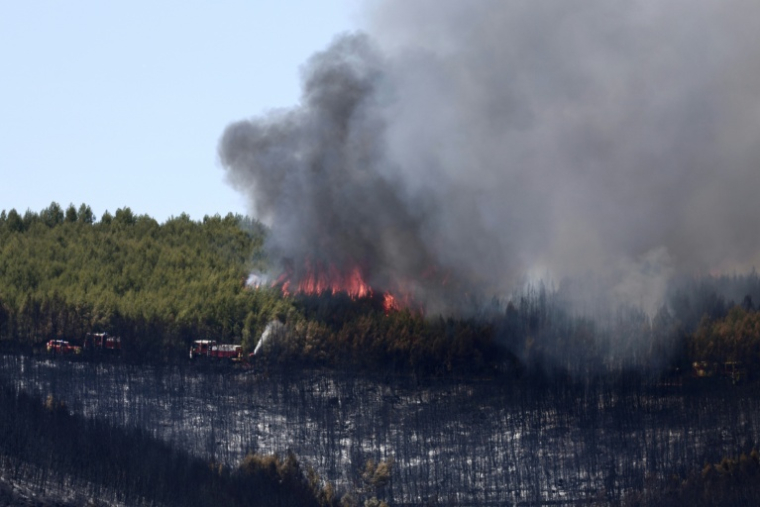 Des pompiers luttent contre un incendie de forêt à Taradeau, le 20 juillet 2026 dans le Var ( AFP / Thibaud MORITZ )