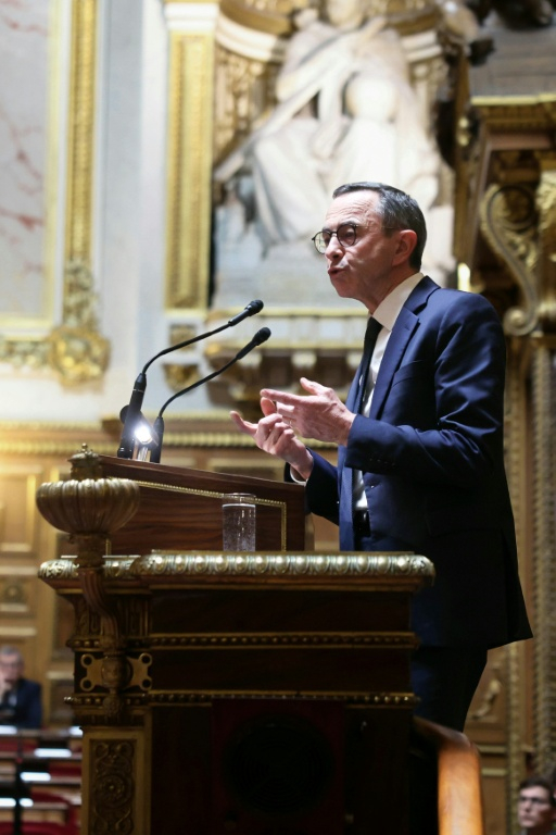 Le patron des Républicains Bruno Retailleau prononce un discours sur la réforme de la fin de vie au Sénat à Paris le 20 janvier 2025 ( AFP / Alain JOCARD )