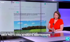 Loi d'urgence agricole: vers la réintroduction de 2 pesticides?