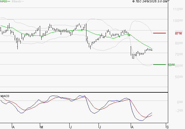 TELEPERFORMANCE : Attendre un test du support