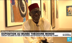 Election présidentielle à Madagascar : l'ex-judoka Siteny entre en campagne