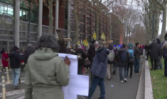 À Toulouse, des agriculteurs manifestent contre les abattages de bovins