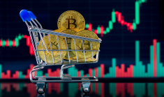 Que peut-on payer en cryptomonnaie ?