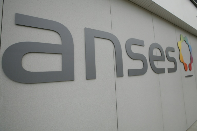 De toutes les causes d'exposition des Français au cadmium, l'alimentation est clairement la principale, souligne l'Anses ( AFP / MATTHIEU ALEXANDRE )