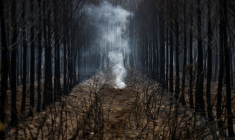 L'UNION EUROPÉENNE ENVOIE DEUX CANADAIR SUPPLÉMENTAIRES POUR AIDER LA FRANCE FACE AUX INCENDIES