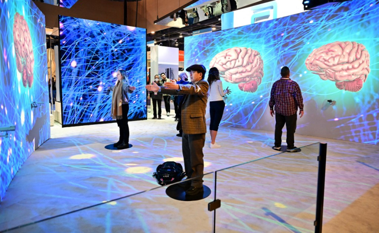 Un stand Dassault Systemes au salon CES de Las Vegas, en 2024 (illustration) ( AFP / FREDERIC J. BROWN )