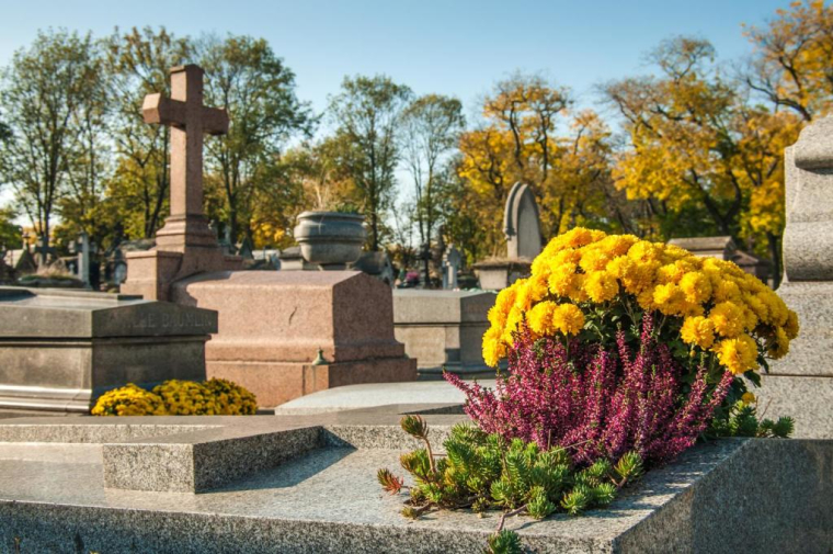 HUANG Zheng/Shutterstock / HUANG Zheng