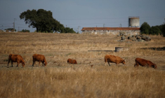 La région de l'Alentejo, au Portugal