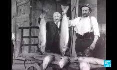 La Loire, un fleuve encore sauvage