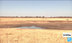 Zimbabwe : Le ZiG, nouvelle monnaie du pays