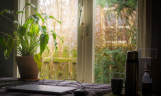 (Crédits photo : Unsplash - Sven Brandsma  )