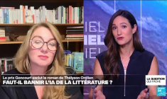Affaire Thélison Orélien : faut-il bannir l'IA de la littérature?