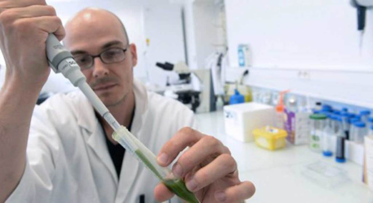 Fermentalg utilise des microalgues pour produire des oméga 3. (© Fermentalg)