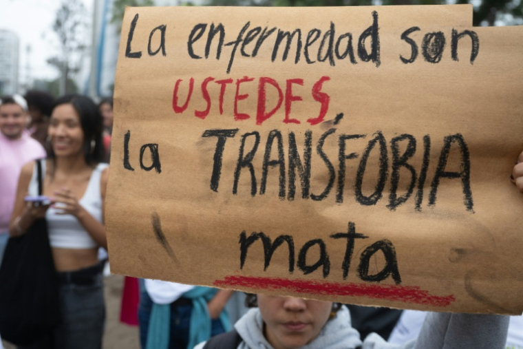 "Ce sont vous les malades, la transphobie tue", lit-on sur une pancarte brandie dans un rassemblement LGBTQ devant le ministère de la Santé, à Lima, le 17 mai 2024 ( AFP / Cris BOURONCLE )