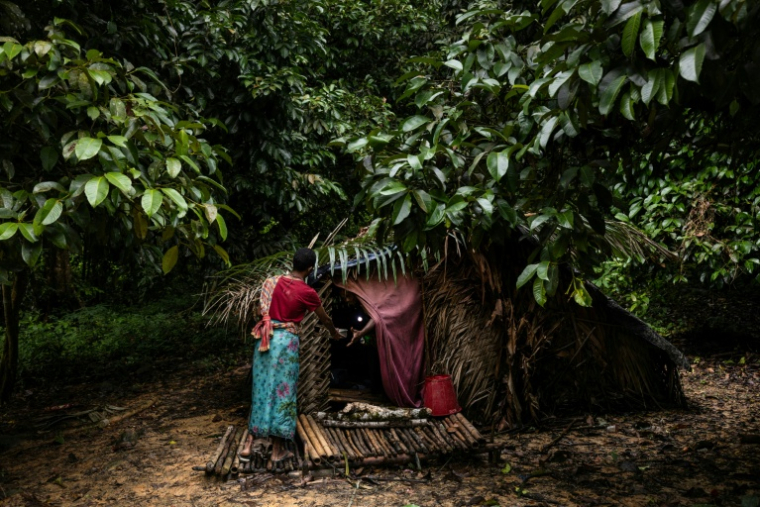 Une femme du groupe des Maniqs, l'une des plus petites minorités ethniques de Thaïlande, apporte de la nourriture à sa famille, le 11 août 2025, dans sa hutte près de Satun, dans le sud du pays ( Courtesy of Luke Duggleby / Luke Duggleby )