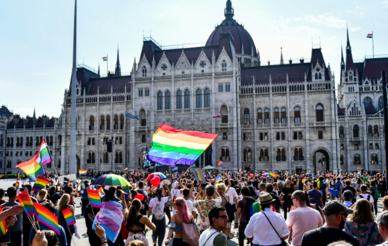 Des manifestants devant le parlement hongrois lors de la marche des fiertés de Budapest le 7 juillet 2018 ( AFP / GERGELY BESENYEI )