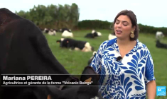 Açores : vers un paradis européen durable ? (partie 2)