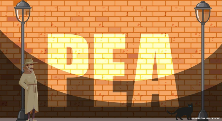 L'évolution du mode de fonctionnement du PEA pourrait évoluer vers une meilleure gestion. (© G. Tronel)