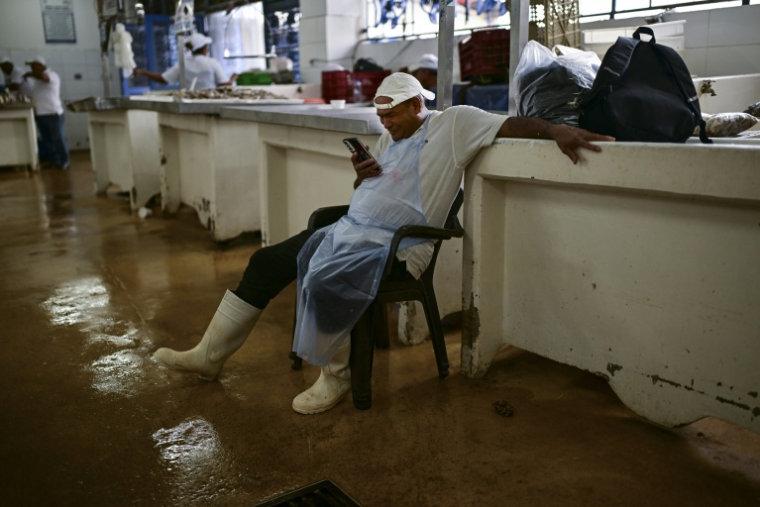 Un vendeur de poisson regarde son téléphone en attendant les clients au marché de fruits de mer de Panama, le 24 septembre 2026 ( AFP / MARTIN BERNETTI )