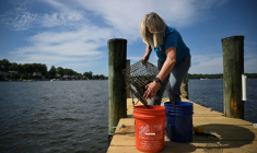 Kimberly Price, sur le ponton de sa maison où elle cultive des huîtres, à Crownsville, dans la baie de Chesapeake, le 20 mai 2025 dans le Maryland ( AFP / Drew ANGERER )