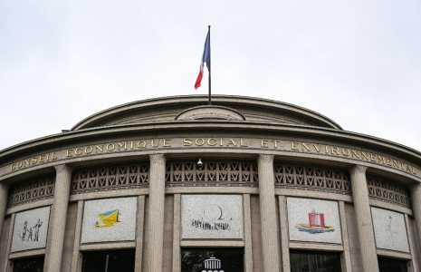 Le Cese est composé de 175 membres (illustration) ( AFP / HUGO MATHY )
