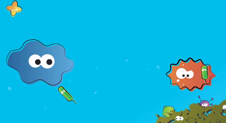 Amoéba produit une amibe capable de traiter l'eau des tours industrielles. (© Amoeba)