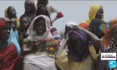 Cameroun : des abreuvoirs mis en place par le CICR pour soulager la population en eau potable