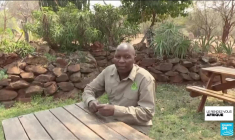 Frappés par la sécheresse, certains pays d'Afrique abattent des animaux sauvages